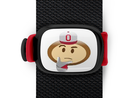 Ohio State Brutus Buckeye Emoji ncaa bag tag Stwrap silly brutus mounted on backpack strap