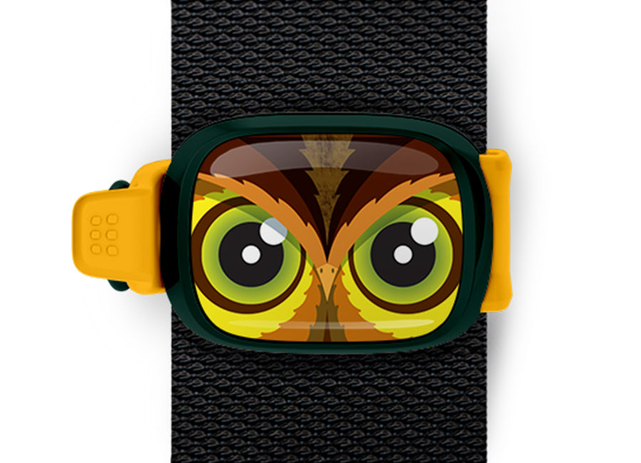 Owl Bag Tag - Einstein the Owl mounted on a bag strap