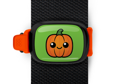 Pumpkin Stwrap Bag Tag