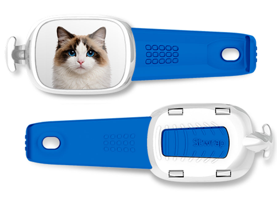 Ragdoll Cat Stwrap bag tag mounted flat on a black backpack strap.