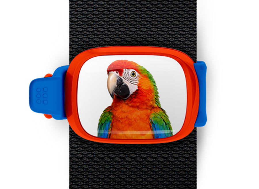 Front and back views of the Scarlet Macaw Bag Tag - Gift for Parrot and Bird Lovers