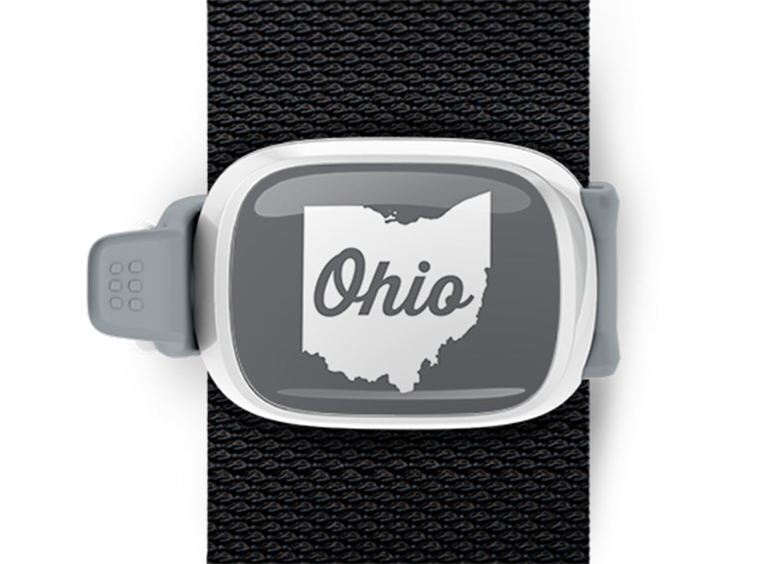 Script in Ohio Bag Tag Stwrap