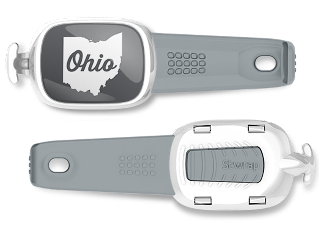 Script in Ohio Bag Tag Stwrap