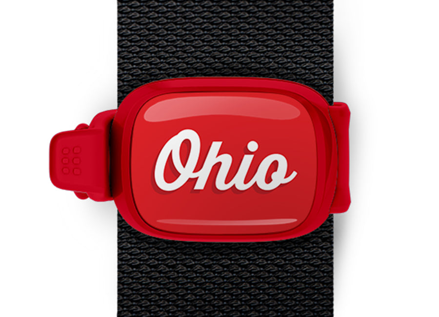 Script Ohio Ohio Bag Tag mounted on a bag strap