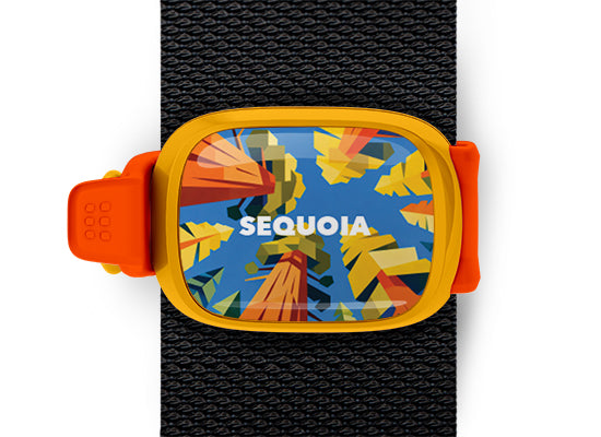 Sequoia National Park Stwrap bag tag mounted on a black bag strap