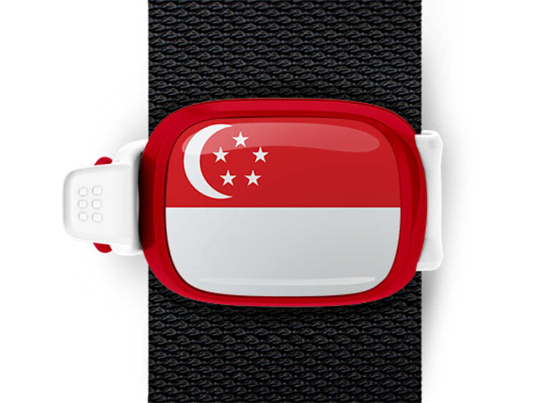 Singapore flag Stwrap bag tag mounted on a bag strap