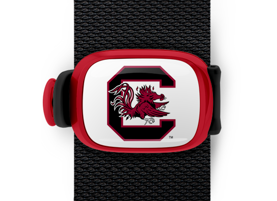 South Carolina Gamecocks Bag Tag mounted on a bag strap