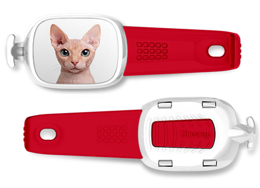 Sphynx Cat Stwrap bag tag mounted flat on a black backpack strap.