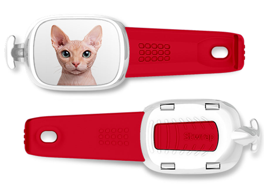 Sphynx Cat Stwrap bag tag mounted flat on a black backpack strap.