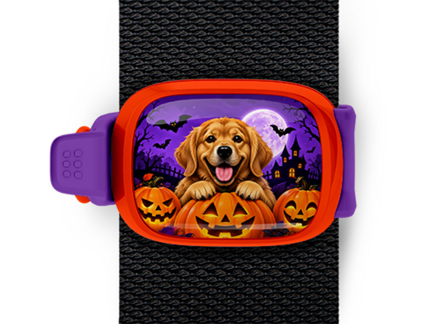 Halloween Golden Retriever Stwrap Halloween bag tag mounted on a black strap