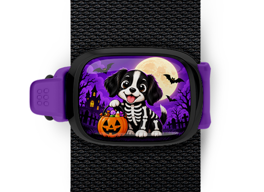 Skeleton Costume Dog Stwrap Halloween bag tag mounted on a black strap