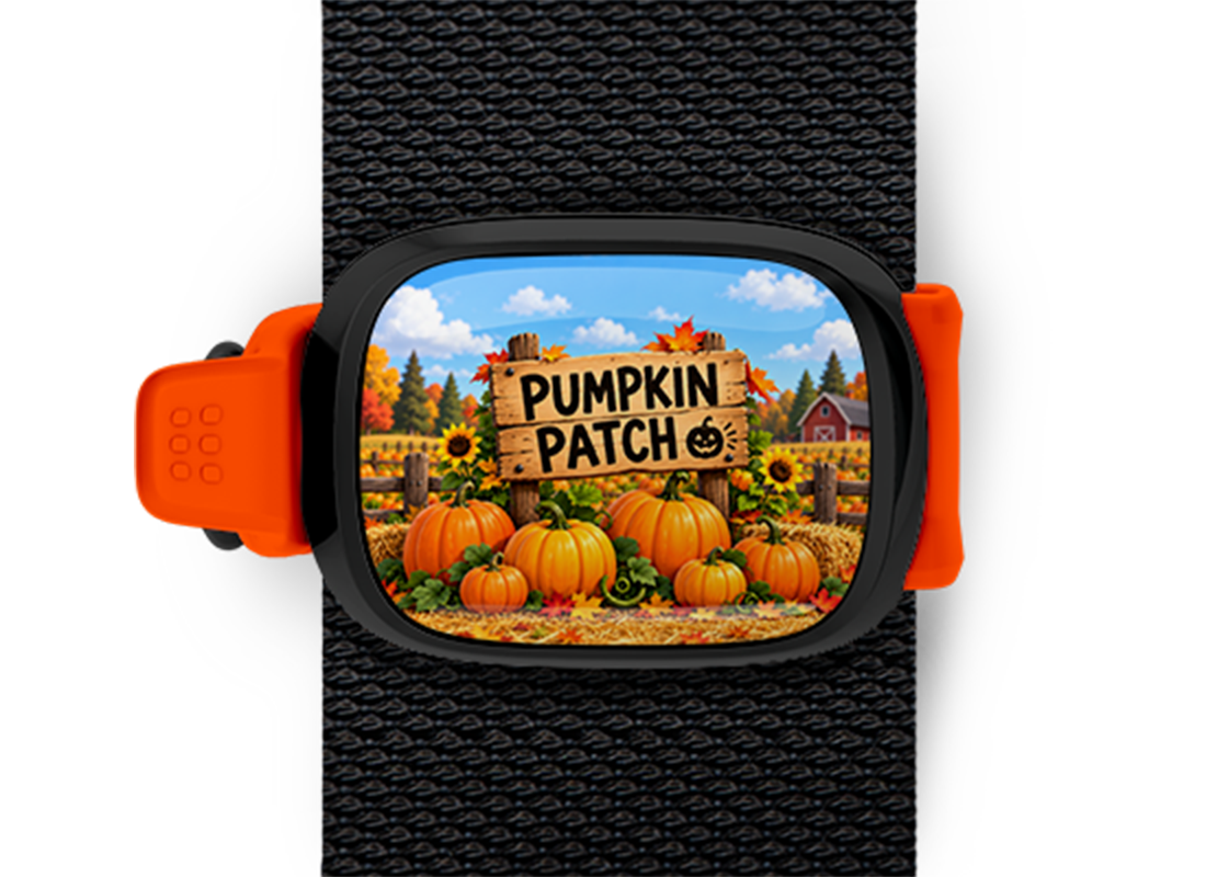 Pumpkin Patch Stwrap Halloween bag tag mounted on a black strap