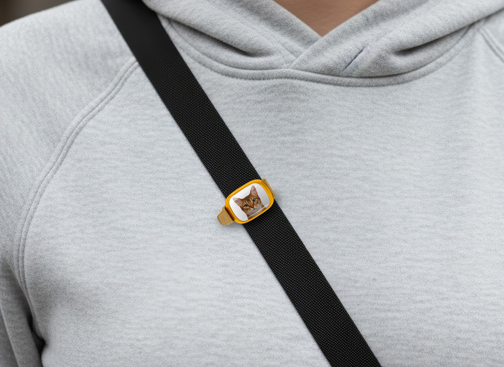 Abyssinian Cat Stwrap