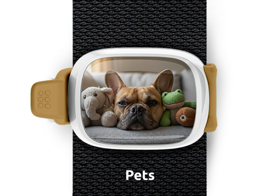 Custom pet photo Stwrap bag tag mounted flat on a backpack or bag strap.