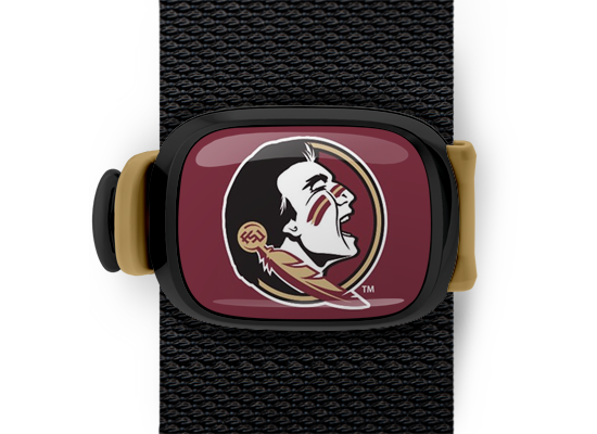 Florida State Seminoles Bag Tag mounted on a bag strap