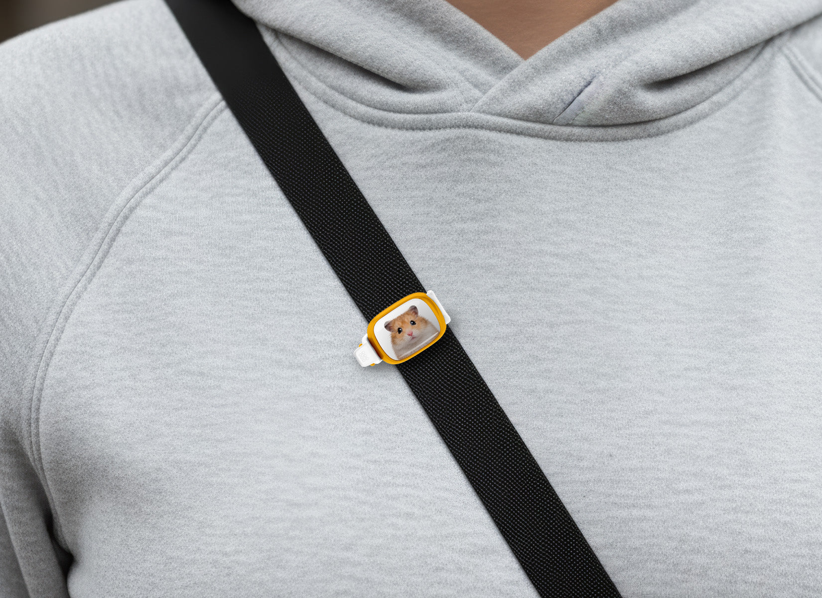 Hamster Stwrap
