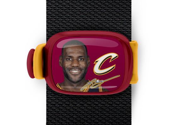 LeBron James Bag Tag mounted on a bag strap