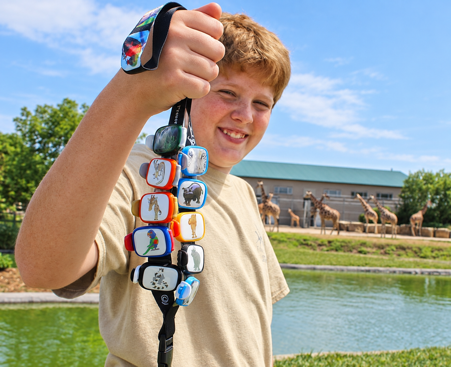 Young collector holding a lanyard covered with animal Stwraps at the zoo