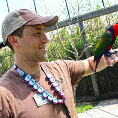 Tanganyika Wildlife Park team member wearing collectible Stwraps on a lanyard while holding a colorful bird