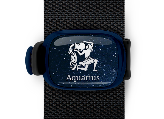aquarius zodiac bag tag stwrap mounted on backpack strap