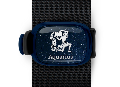 aquarius zodiac bag tag stwrap mounted on backpack strap