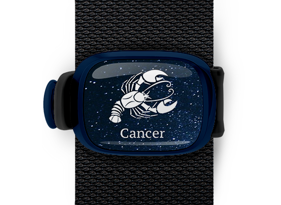 cancer zodiac bag tag stwrap mounted on backpack strap