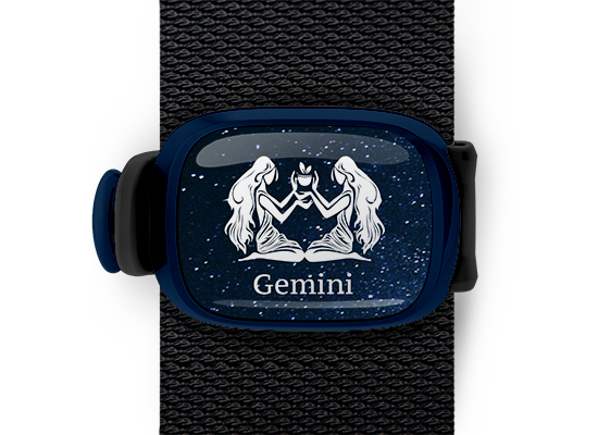 gemini zodiac bag tag stwrap mounted on backpack strap