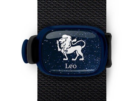 leo zodiac bag tag stwrap mounted on backpack strap