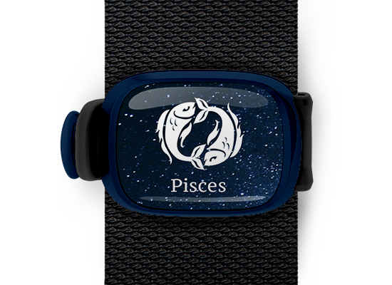 pisces zodiac bag tag stwrap mounted on backpack strap