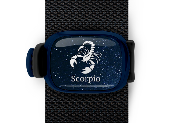 scorpio zodiac bag tag stwrap mounted on backpack strap