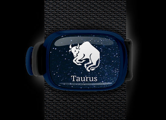 taurus zodiac bag tag stwrap mounted on backpack strap