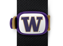 Washington Huskies Stwrap - Stwrap