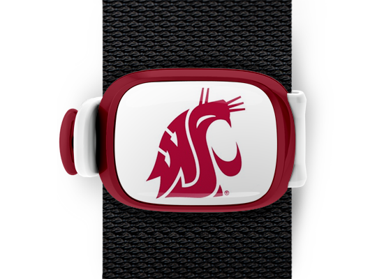 Washington State Cougars Bag Tag mounted on a bag strap