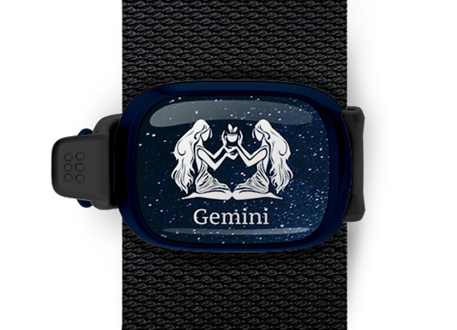 Gemini Zodiac Bag Tag by Stwrap flat strap-mounted astrology bag tag