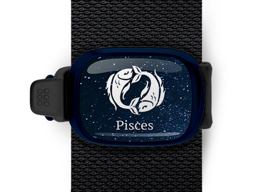 Pisces Zodiac Bag Tag by Stwrap flat strap-mounted astrology bag tag