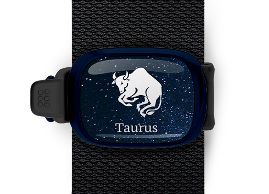 Taurus Zodiac Bag Tag by Stwrap flat strap-mounted astrology bag tag