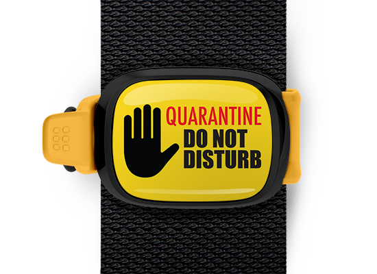 Quarantine Do Not Disturb <br> Stwrap Bag Tag
