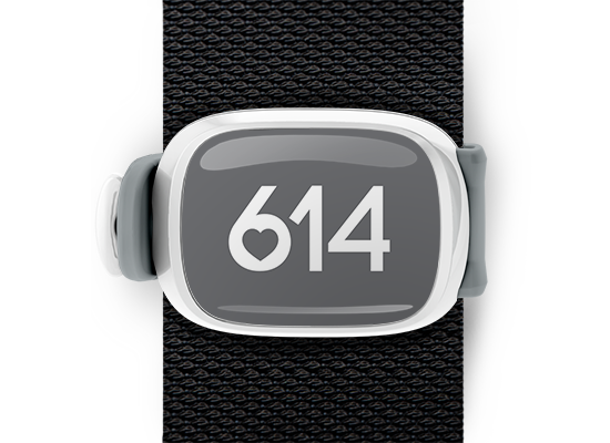 Ohio 614 bag tag Stwrap mounted on backpack strap